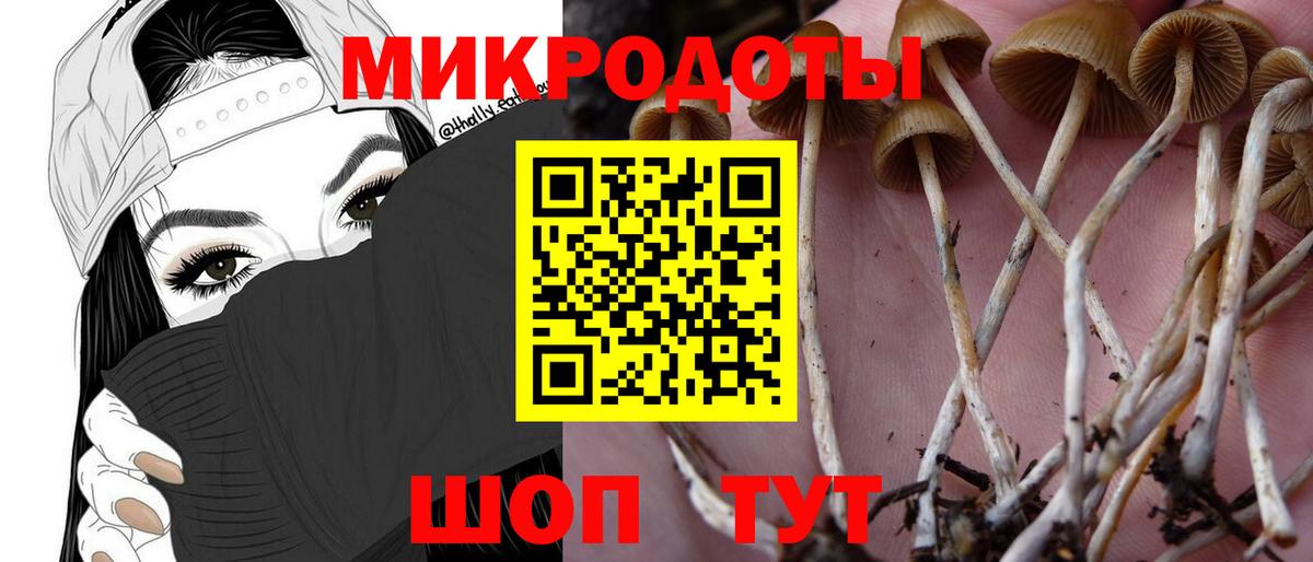Павлово  Галлюциногенные грибы мухоморы  Псилоцибиновые грибы Magic Shrooms  купить наркотик  Вход с VPN 